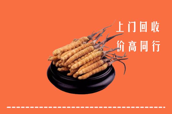和顺县回收冬虫夏草