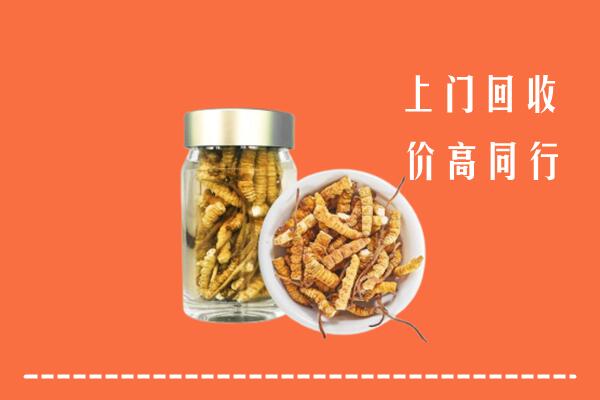 和顺县回收冬虫夏草